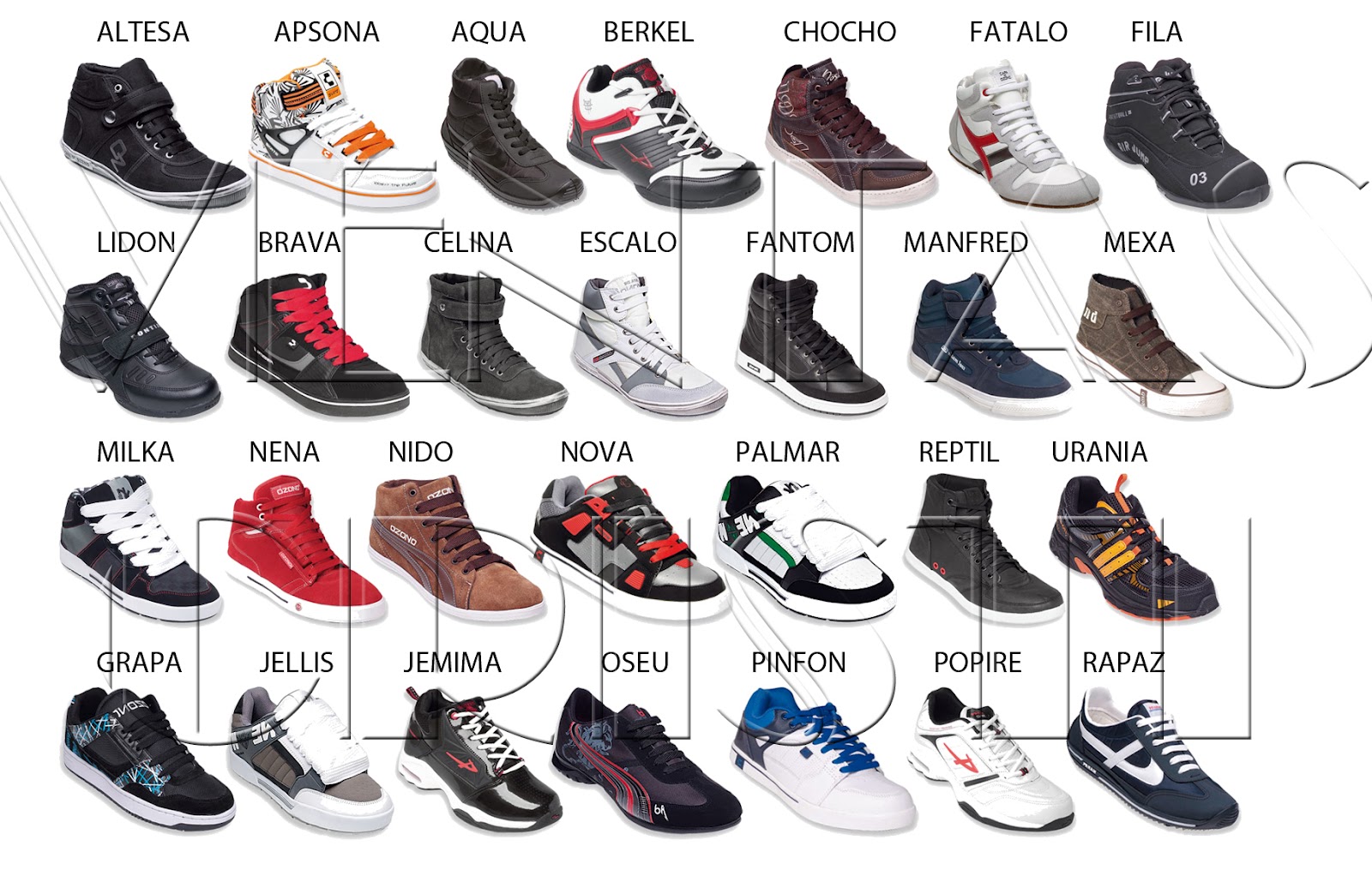zapato hombre2012 3