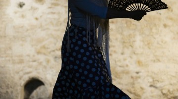 flamenco-1046485_1920