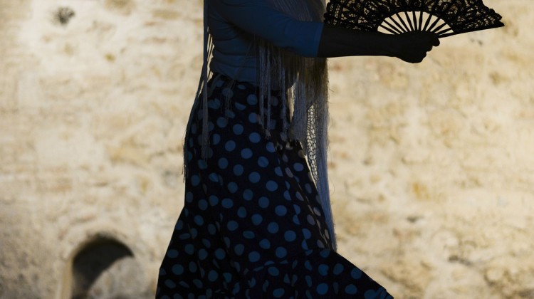 flamenco-1046485_1920